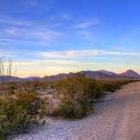 Roadside Dusk at Big Bend National Park, Texas