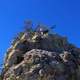 Rock Climb Up at Big Bend National Park, Texas