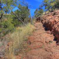 Rocky path to lost mine peak at Big Bend National Park, Texas