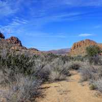 Shrubland and Canyons at Big Bend National Park, Texas