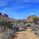 Shrubland and Canyons at Big Bend National Park, Texas