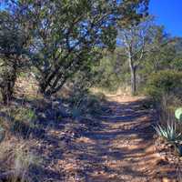 The Hiking Path at Big Bend National Park, Texas