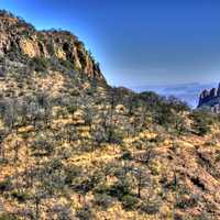 The Hillside at Big Bend National Park, Texas