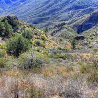 Windswept landscape of lost mine at Big Bend National Park, Texas