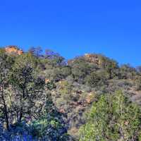 Forest Mountain at Big Bend National Park, Texas