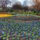 Flower Bed in Dallas, Texas