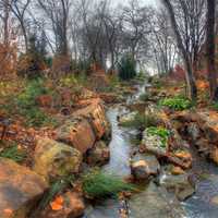 Flowing Stream in Dallas, Texas