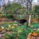 Arboretum Landscape in Dallas, Texas