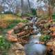 Long Stream in Dallas, Texas