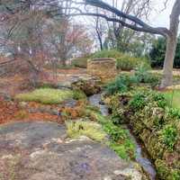 Stream in Garden in Dallas, Texas