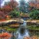 Pond Landscape in Garden in Dallas, Texas