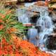 Waterfall in Gardens in Dallas, Texas