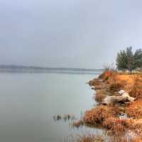 White Rock Lake Shoreline in Dallas, Texas