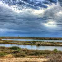 Across the landscape at Galveston Island State Park, Texas