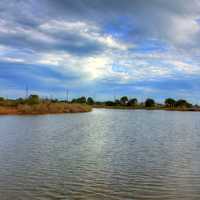 Bend in the Pond at Galveston Island State Park, Texas