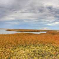 Winding Bay at Galveston Island State Park, Texas