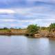 Pond Landscape at Galveston Island State Park