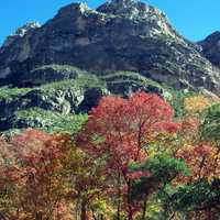 Fall Colors and Hills at Guadalupe Mountains National Park