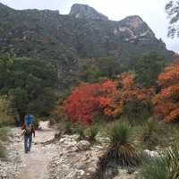 Guadalupe Mountains National Park