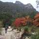 Green and Red Trees hiking in Guadalupe Mountains National Park