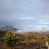 Rainbow in the landscape with fog