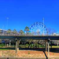 Bridge and Ferris Wheel in Houston, Texas