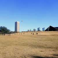 View from Hermann Park in Houston, Texas
