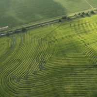 Farm lines and fields in Richmond, Texas