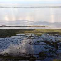 San Bernard NWR landscape with wetland 