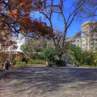 Courtyard Photograph in San Antonio, Texas