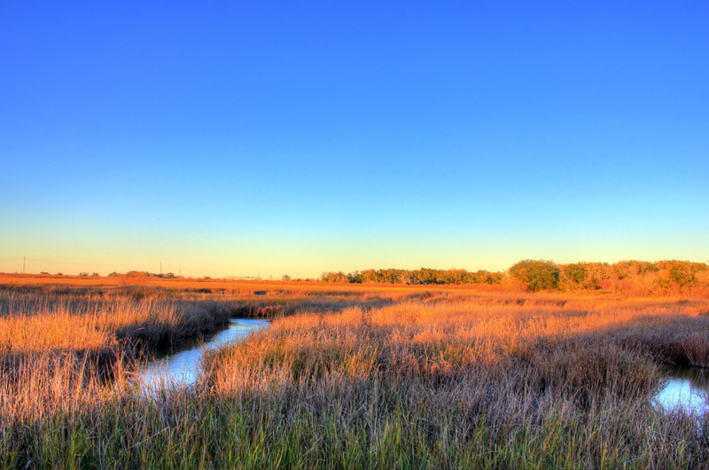 San Jacinto Battleground