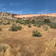 Delicate Arch Viewpoint