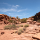 Rocks and Grasses in the desert