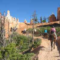 Horseback Riders in Bryce Canyon National Park, Utah