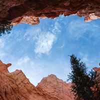 Looking up from the Canyon Sky at Bryce Canyon National Park, Utah