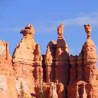 Rock formations at the top in Bryce Canyon National Park, Utah