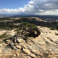 Box-Death Hollow Wilderness in Utah