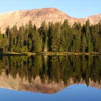 Morning View from the Camp across the lake