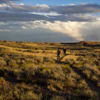 Mountain Biking on the McCoy Flats in Utah