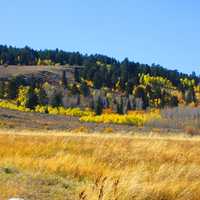 Raft River Range fall colors in Utah