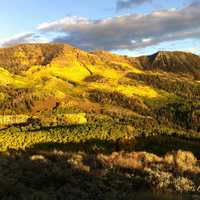 Sunset on a mosaic of vegetation patterns. Scrub Flat, Signal Peak area, Fishlake National Forest