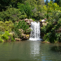 Close-up of waterfall landscape in the Gardens