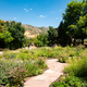 Fragrance Garden in Botanical Gardens