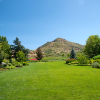 Hills and Grassy Field landscape