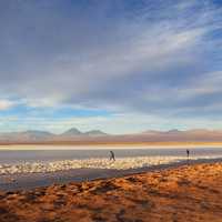 Landscape of the Great Salt lake, Utah