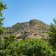 Looking up the Mountain at the Botanical Gardens