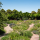 Paths in the Fragrance Garden