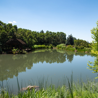 Pond landscape in the Gardens