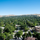 Trees covering the roads and buildings in Salt Lake City