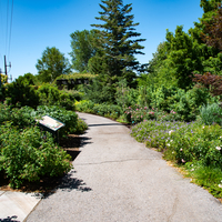 Walk path through the Gardens